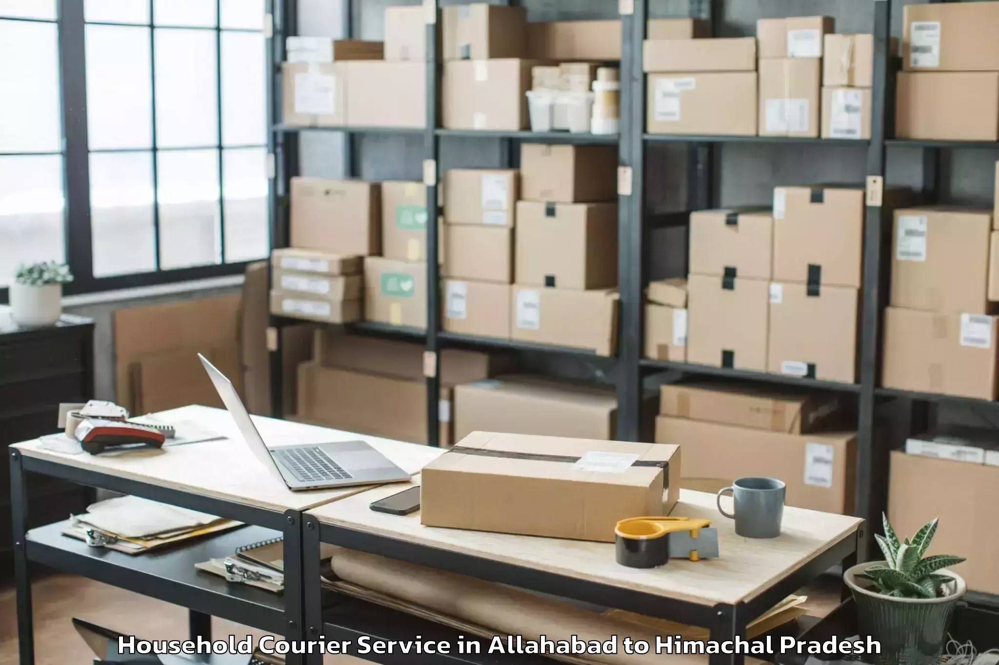 Professional Allahabad to Kyelang Household Courier